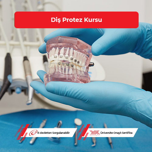 Diş Protez Eğitimi
