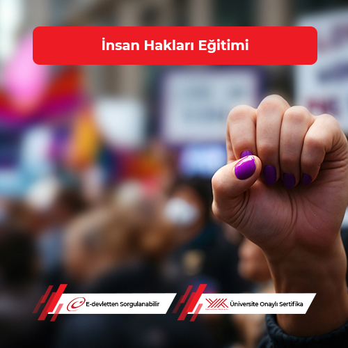 İnsan Hakları Eğitimi