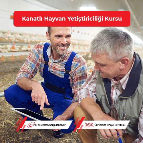 Kanatlı Hayvan Yetiştiriciliği Eğitimi