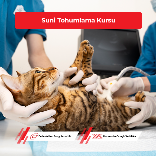 Suni Tohumlama Eğitimi