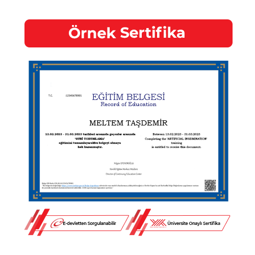Suni Tohumlama Sertifikası