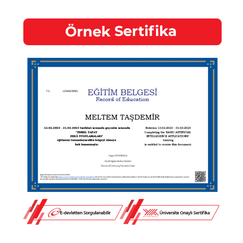 Temel Yapay Zeka Uygulamaları Sertifikası